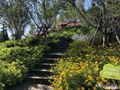 晋城白马寺简介