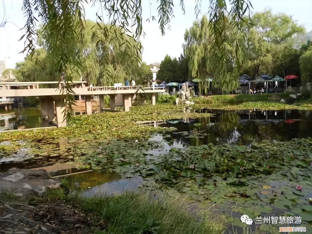 兰州小西湖事件