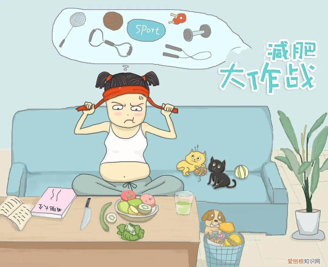 阿特金斯减肥法！