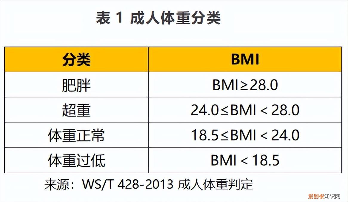 阿特金斯减肥法！
