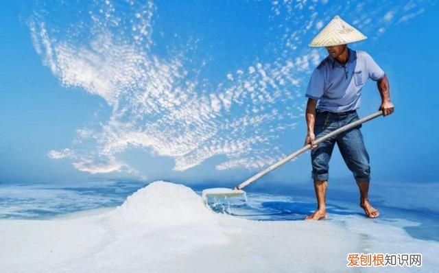 海水有甜分吗，海水苦泪水甜