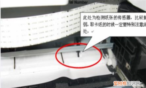 怎么处理打印机卡纸问题，打印机卡纸了怎么处理纸怎么出来