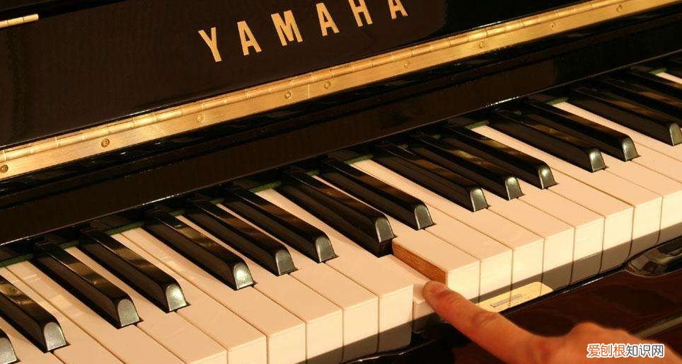 世界乐器协会发布“主流钢琴品牌排名”