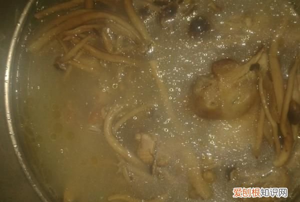 茶树菇煲老母鸡的做法，教你怎么做茶树菇炖老母鸡汤