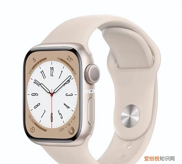 apple watch 常用功能