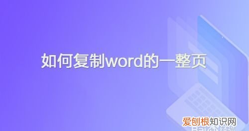 word如何增加一页，word文档怎么增加同样的一页