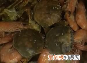 虾蟹一锅鲜的做法，虾蟹火锅怎么做好吃