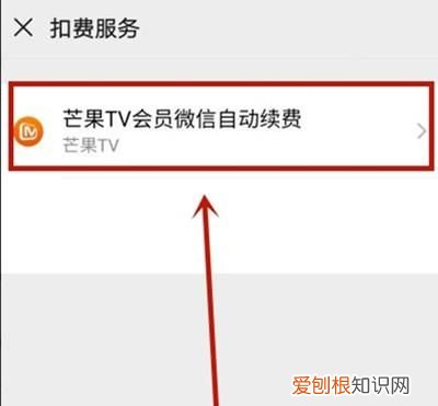 芒果tv怎么关闭自动续费苹果支付的