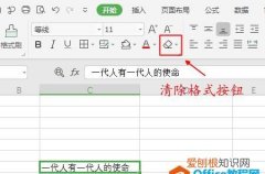 wps清除格式在哪里，Wps中如何清除格式