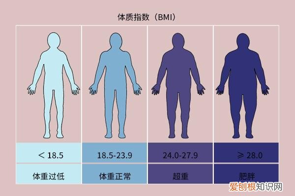 标准身材计算公式