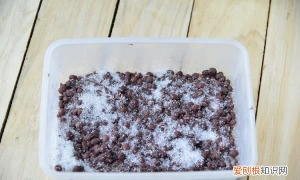 蜜红豆的制作方法和配方，蜜红豆怎么做——蜜红豆的做法