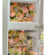 冰箱冷冻室结冰花怎么办，鲜花放冰箱前需要注意什么