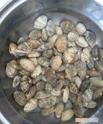 花蛤吐沙子要多长时间，花蛤吐沙子的的水怎么配置