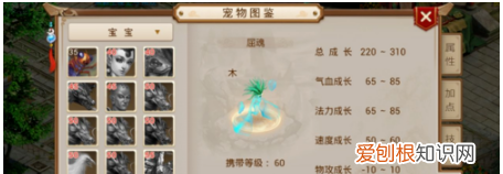 问道白果儿怎么加点