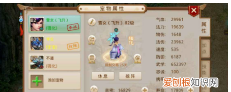 问道白果儿怎么加点