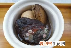 鲍鱼炖排骨要去掉壳，鲍鱼炖汤时要连壳还是去壳