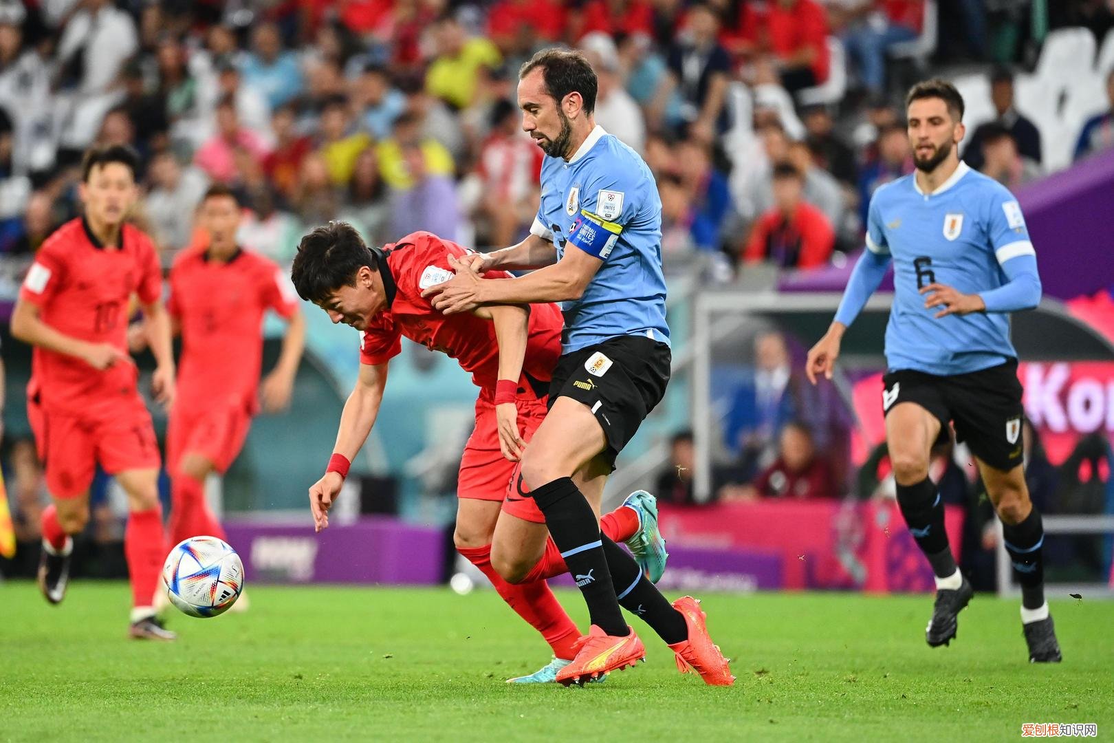 韩国运动员小动作