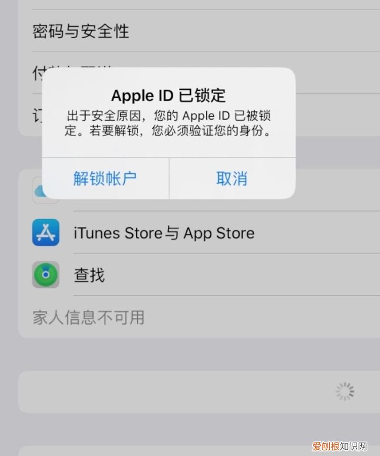 apple id登不上去怎么回事