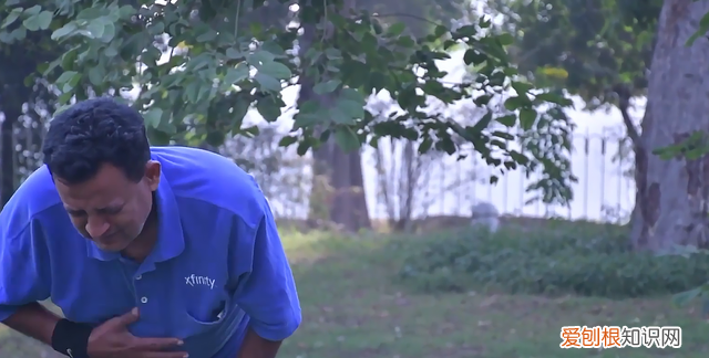 金皮树是杀人树吗 金皮树为何被称为自杀树