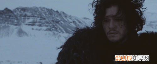 权力的游戏铁群岛人物介绍,权力的游戏各位玩家的意见