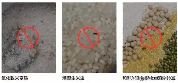 精致主妇都在用的米桶，防潮防虫还能控制出米量