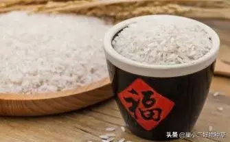 精致主妇都在用的米桶，防潮防虫还能控制出米量