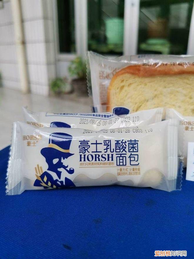 豪士乳酸菌酸奶小口袋面包