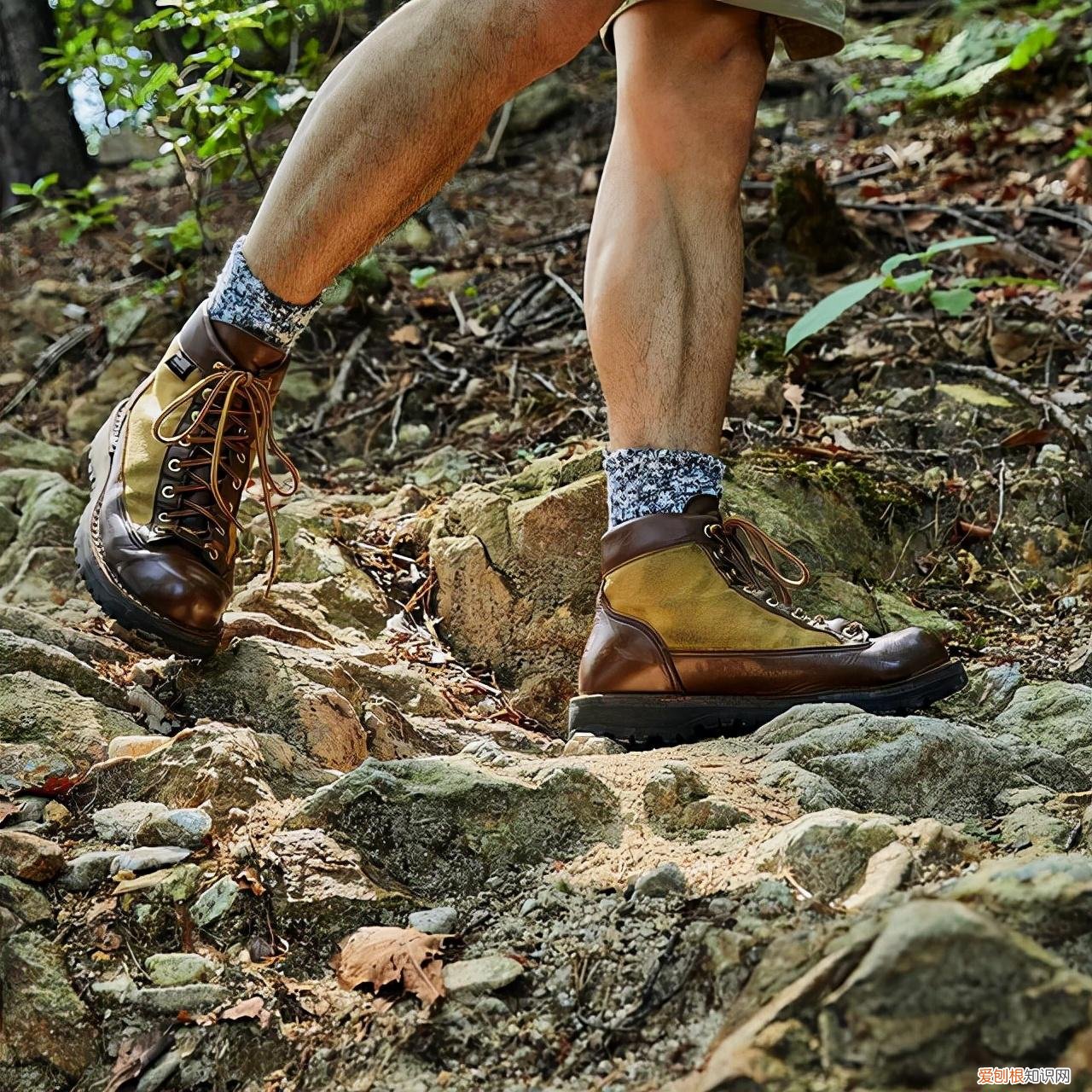 美国Danner工装靴四大天王之一，靴中的劳斯莱斯