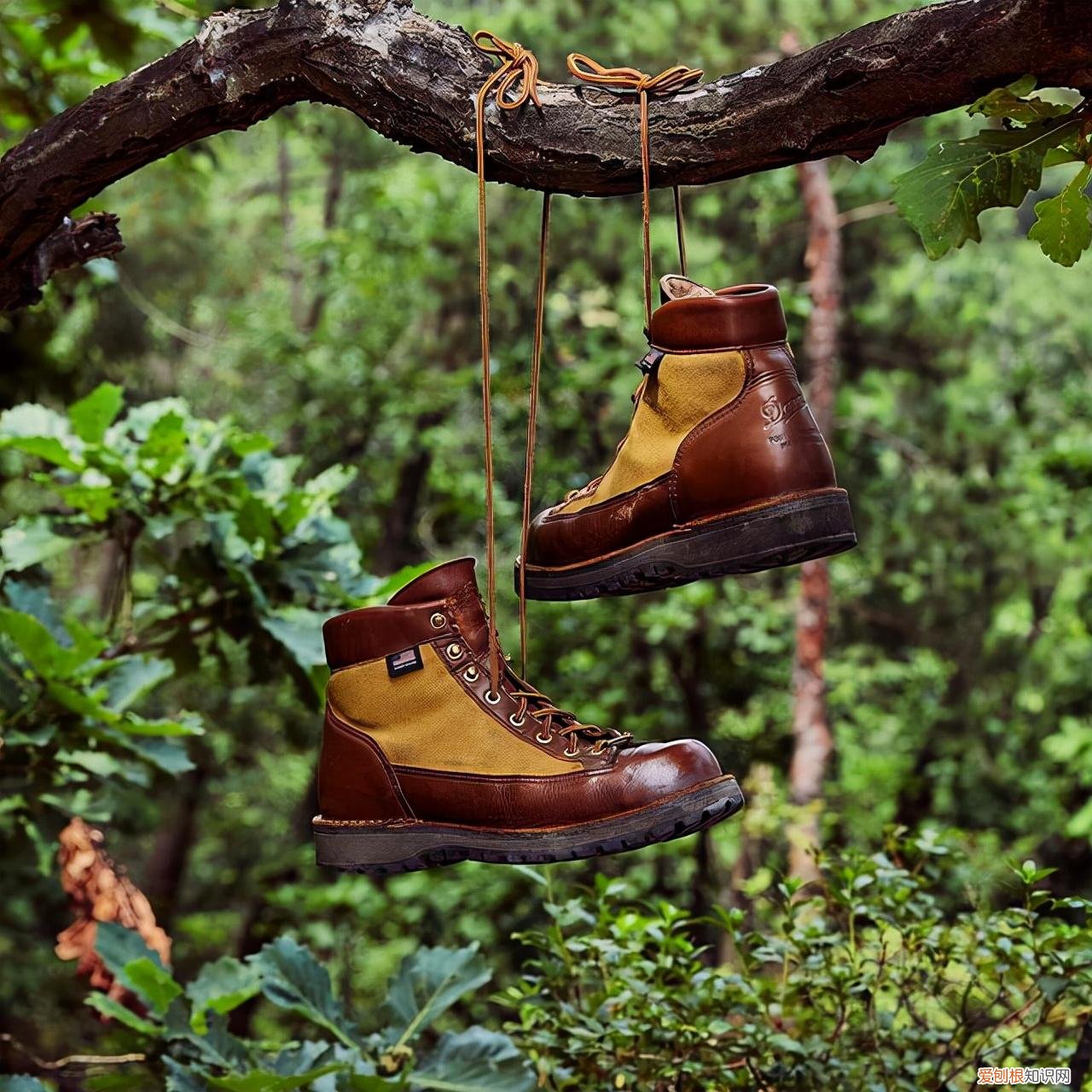 美国Danner工装靴四大天王之一，靴中的劳斯莱斯