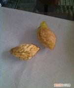 油桃核裂开怎么回事，油桃炸核是怎么回事