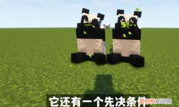 我的世界如何去除消失诅咒，《我的世界》消失诅咒怎么去掉啊