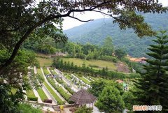 罗浮山墓地合法吗