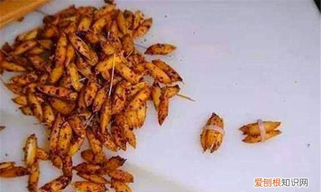 野钓鲤鱼饵料配方和技巧秘方,鲤鱼浮在水面为什么不吃饵料