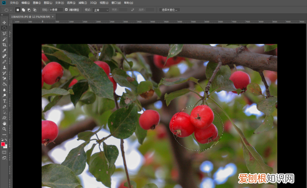 ps怎么才能反选，ps里怎么反向选择选区