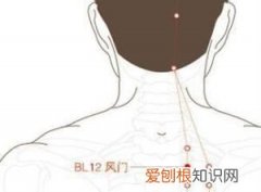 风门为什么不可灸