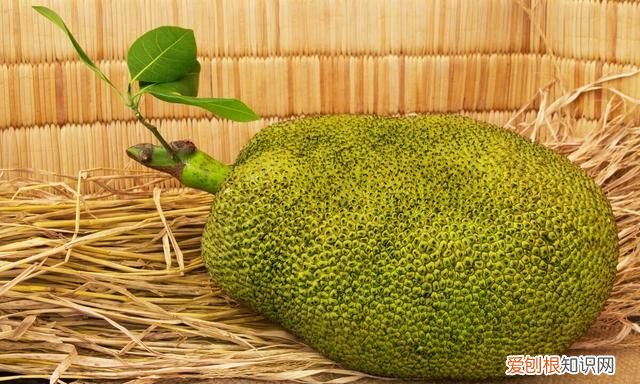 菠萝蜜打开后有点生 还能变熟吗