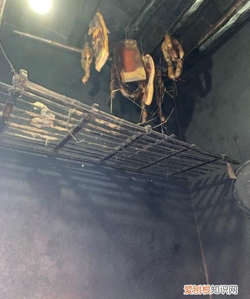 智能疫情咨询机器人背后的年轻人