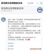 智能疫情咨询机器人背后的年轻人