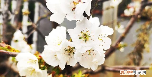 究竟是爱情压垮了现实,还是现实压垮了爱情的句子