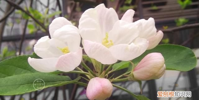 究竟是爱情压垮了现实,还是现实压垮了爱情的句子