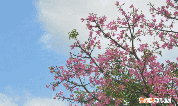 莆田秋天风景 莆田初秋风景