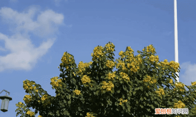 莆田秋天风景 莆田初秋风景