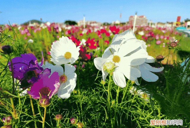 莆田秋天风景 莆田初秋风景