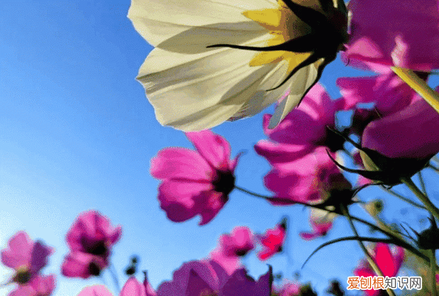 莆田秋天风景 莆田初秋风景