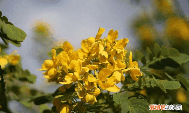 莆田秋天风景 莆田初秋风景