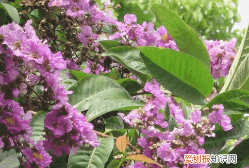 莆田秋天风景 莆田初秋风景
