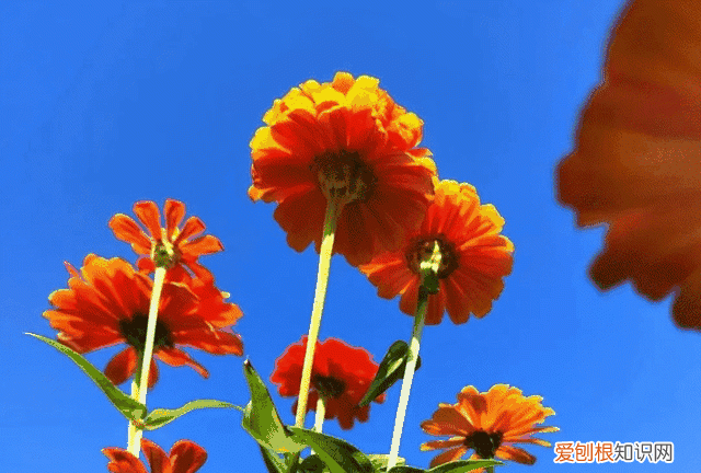 莆田秋天风景 莆田初秋风景