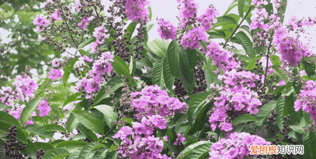 莆田秋天风景 莆田初秋风景