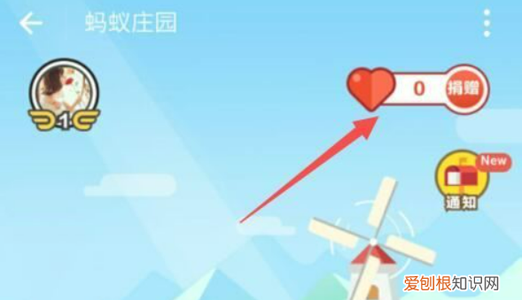 蚂蚁庄园的爱心怎么捐赠，蚂蚁庄园怎么捐爱心鸡蛋