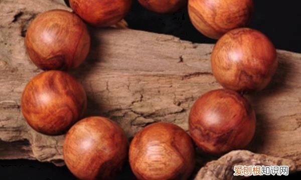 银杏树为什么那么珍贵,你知道吗英语